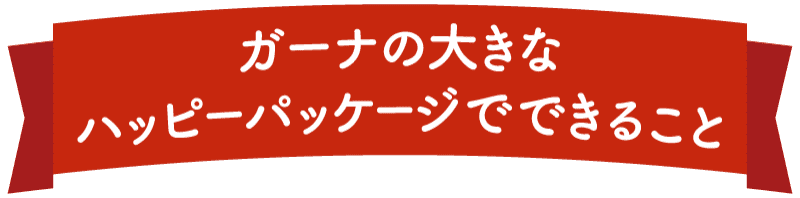 ガーナの大きなハッピーパッケージでできること