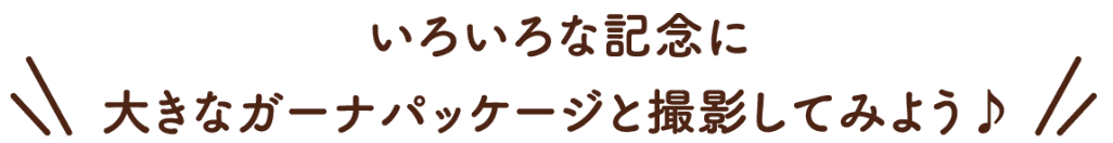 いろいろな記念に大きなガーナパッケージと撮影してみよう♪