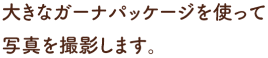 大きなガーナパッケージを使って写真を撮影します。